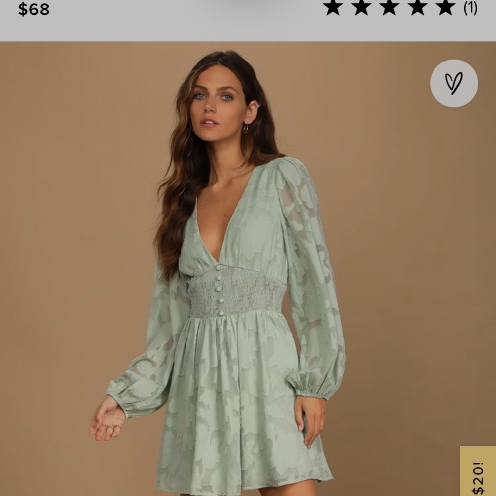 Tomorrow and Always Light Sage Green Burnout Floral Mini Dress Lulus
